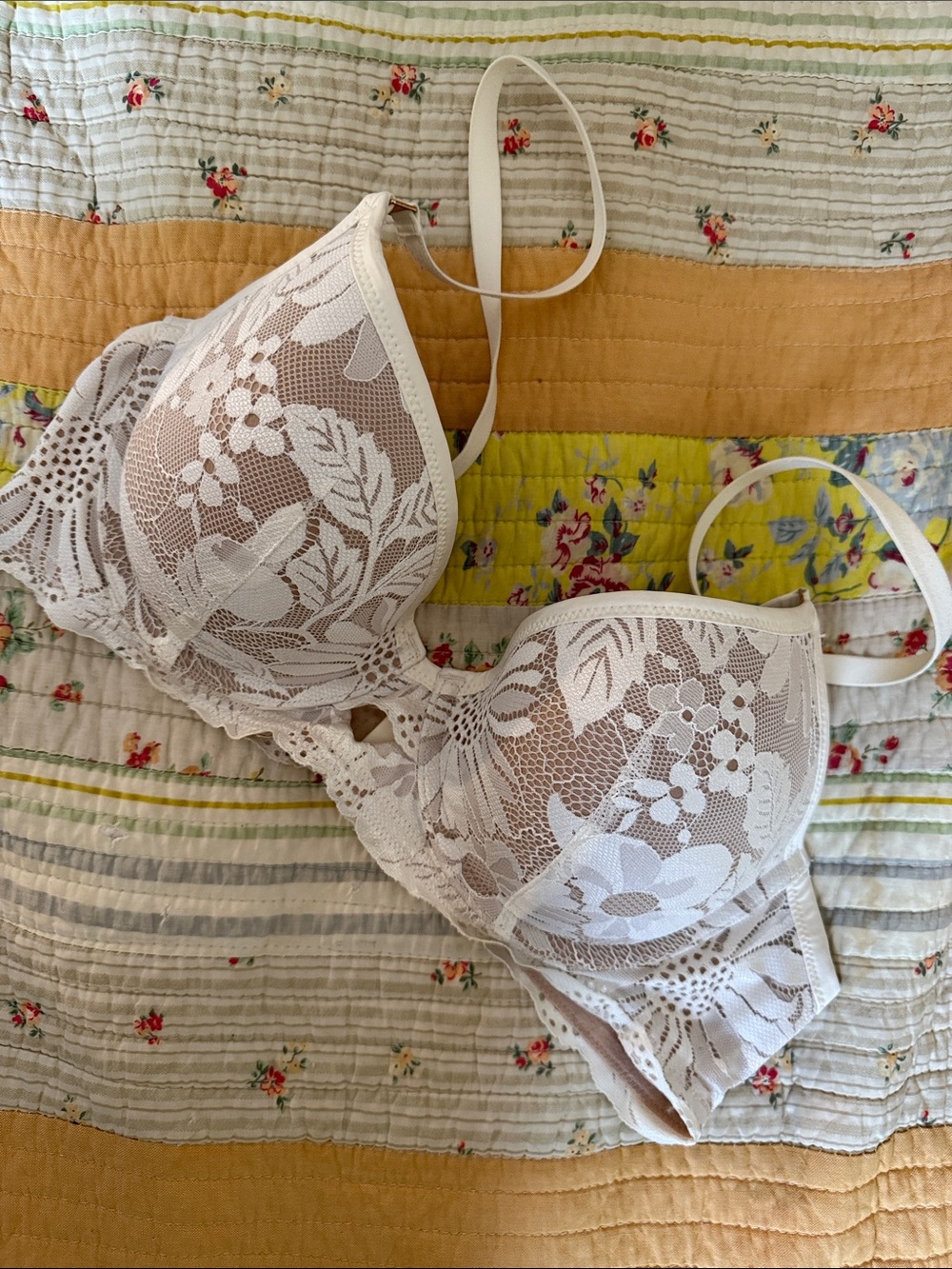 aerie Ivory White Lace Push-Up Bra